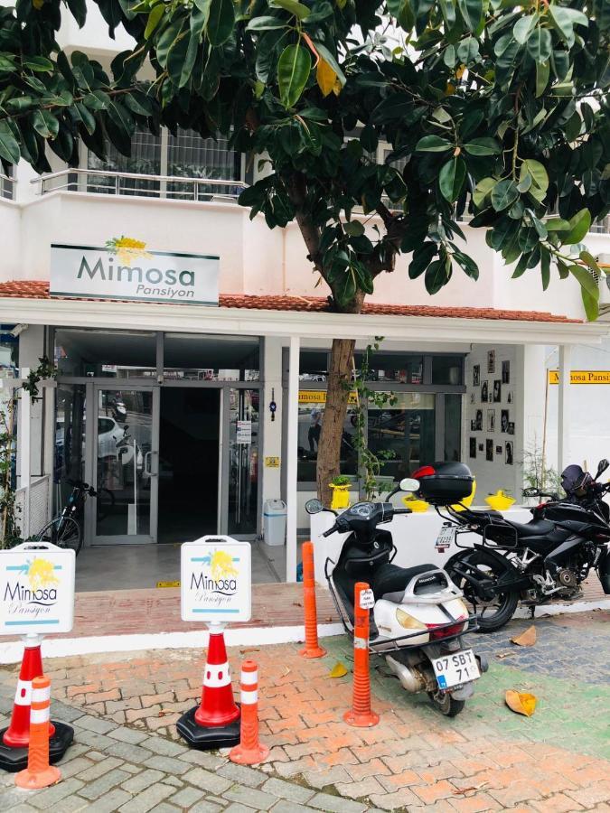 Mimosa Pension Kas Exterior photo